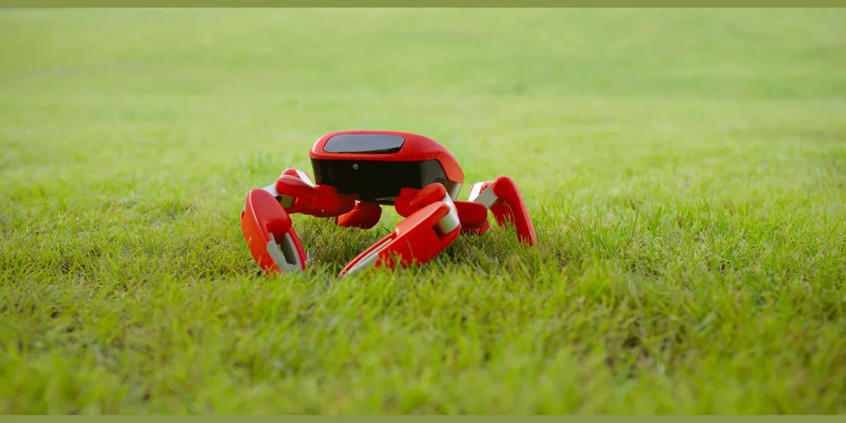 KingKong Jumper: robot de 6 patas con NPU